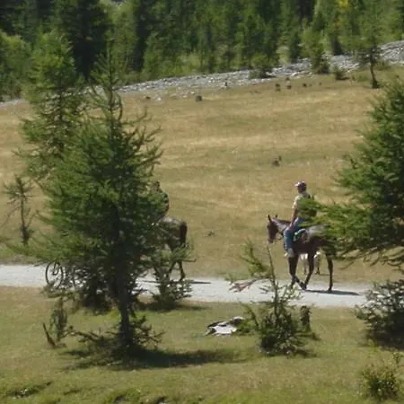 Daire Petit Royal Sestriere